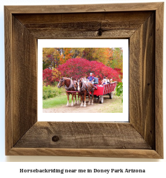 horseback riding near me in Doney Park, Arizona